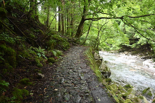 川沿いの道